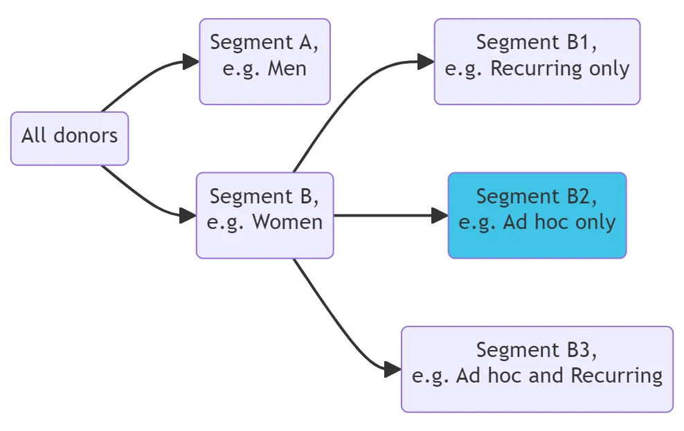 Ramadan Fundraising Example Segmentation